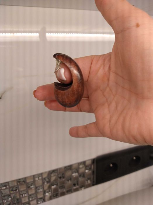 Disajnerski naszyjnik z kolczykami