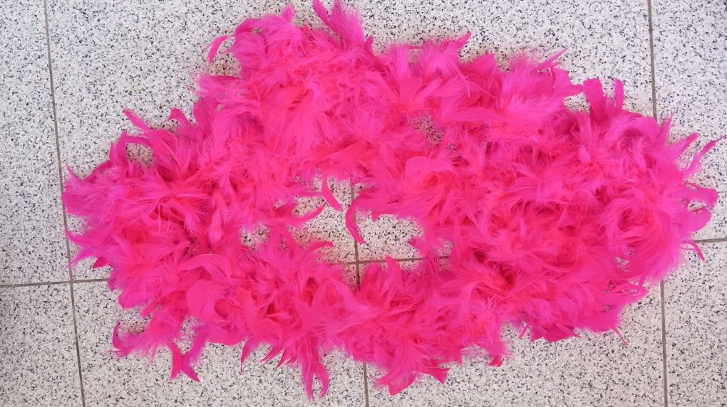 Plumas de Carnaval