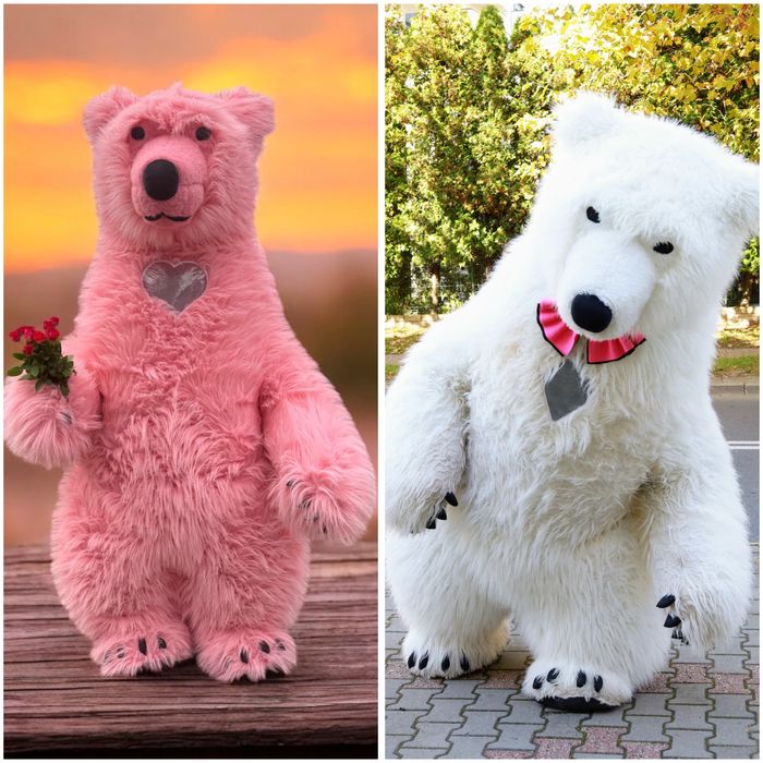 Biały Miś ,stich,Angel żywe maskotki na wynajem