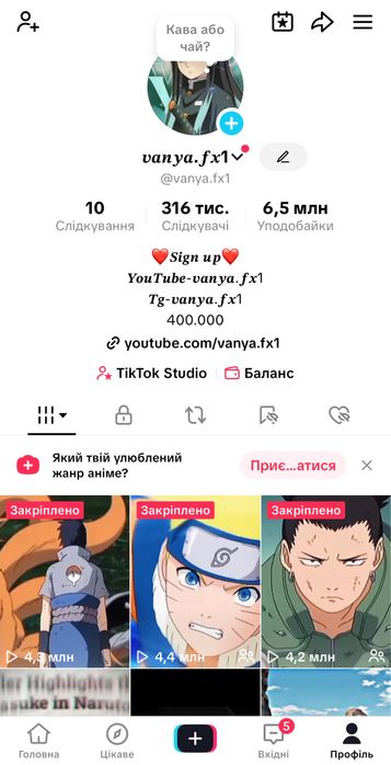 Тік Ток акаунт 316 тис
