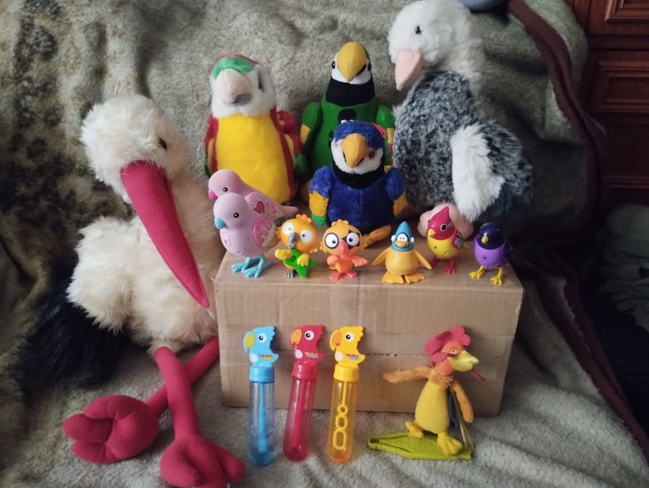 Ptaki Bird: Bocian Papużki Ara Gęś Słowiki