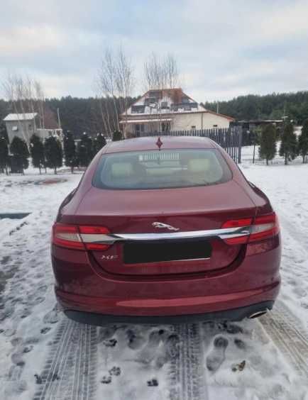 Бампер Jaguar XF X250 запчастини Ягуар ХФ 250 шрот разборка
