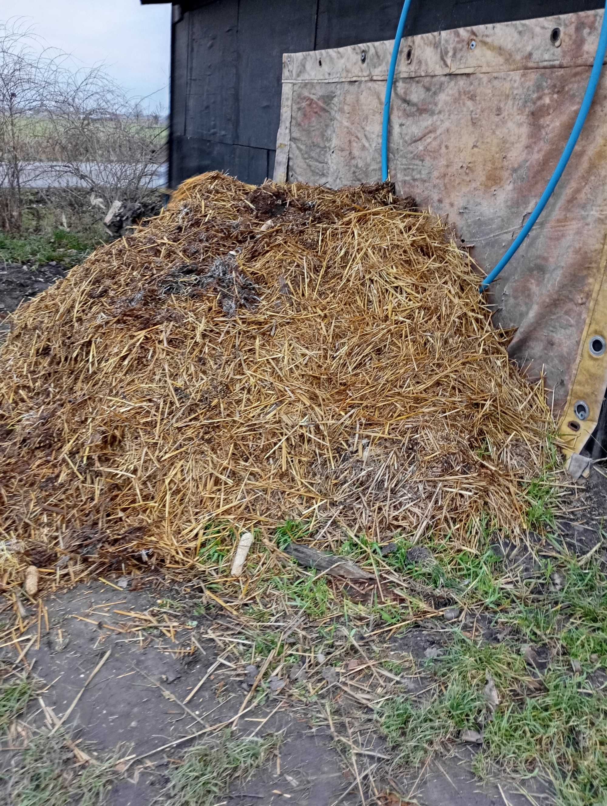 Oddam za darmo obornik króliczy