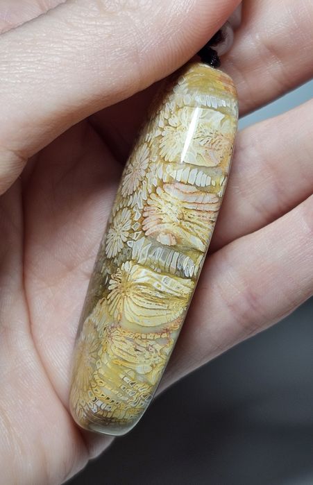 Koral kopalny naturalny.