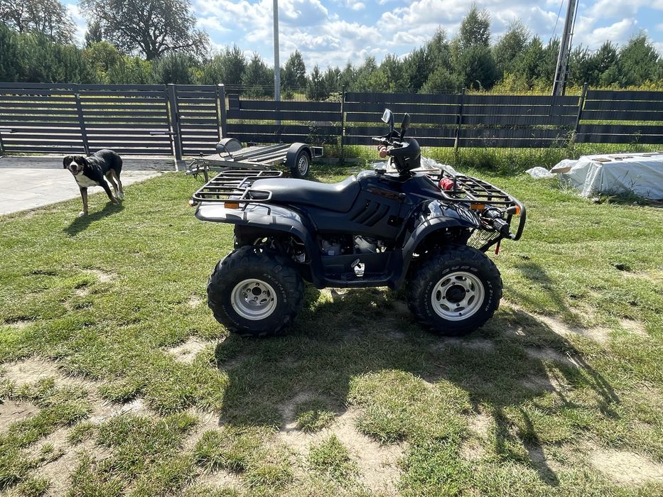 Quad duży Linhai 260 wyciagarka homologacja