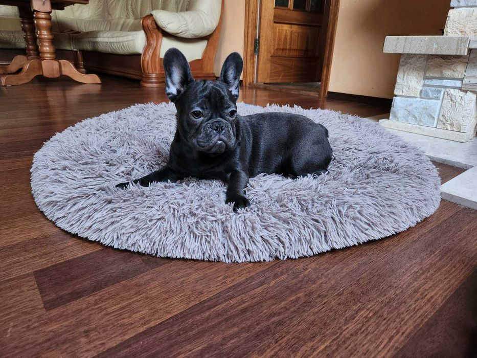 Дві дівчинки блакитні