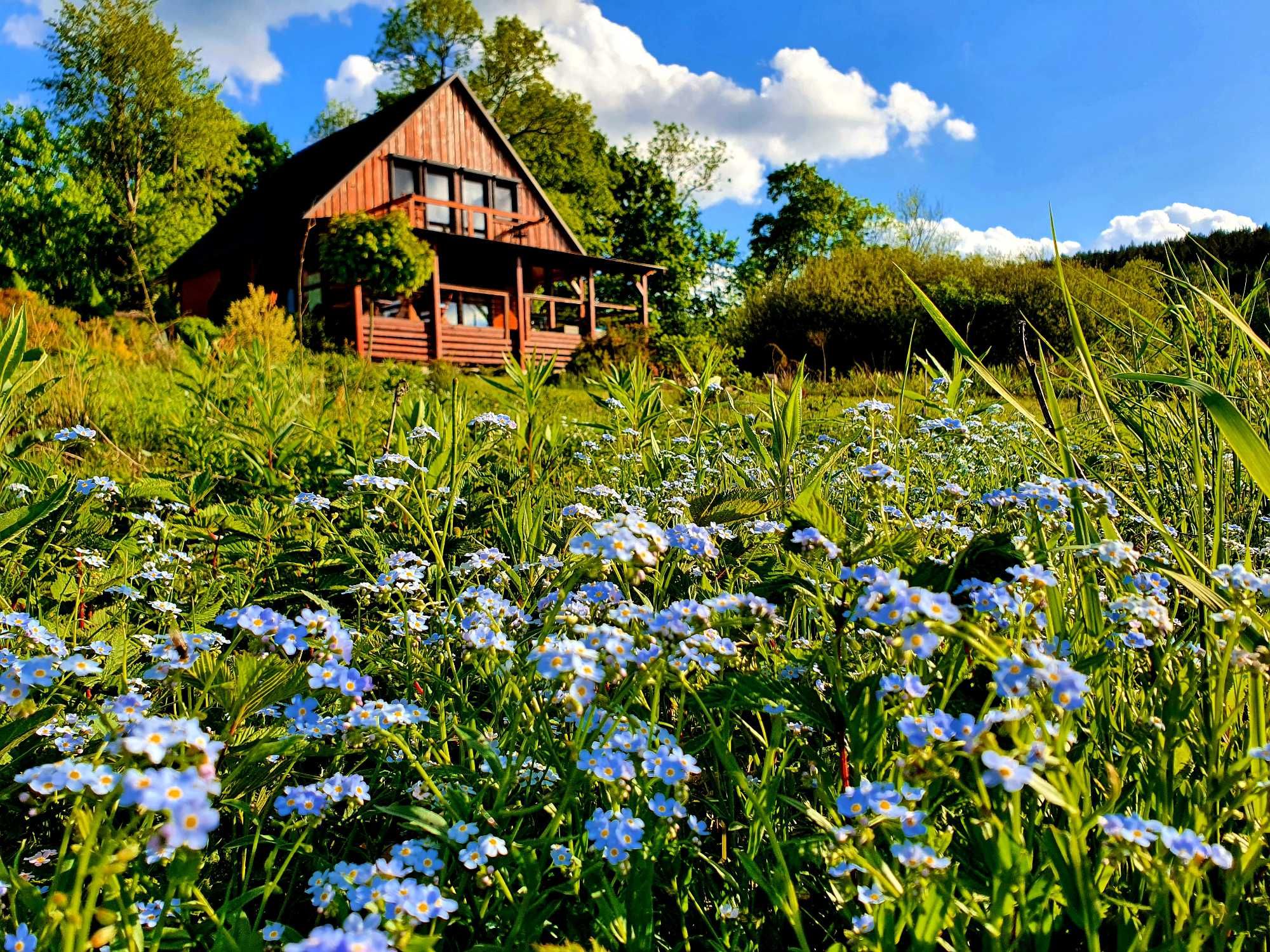 Karkonosze- Dom 8 os.- Basen Podgrzewany- Sauna- Jacuzzi- Piaskowy Koń