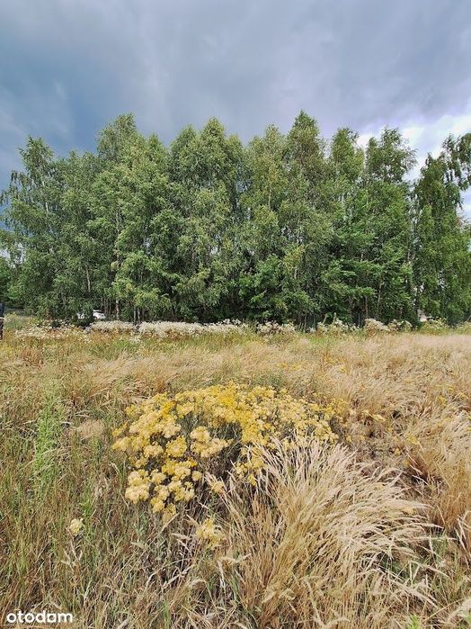 Na sprzedaż 2 działki budowlane – Ludwików gmina Gąbin