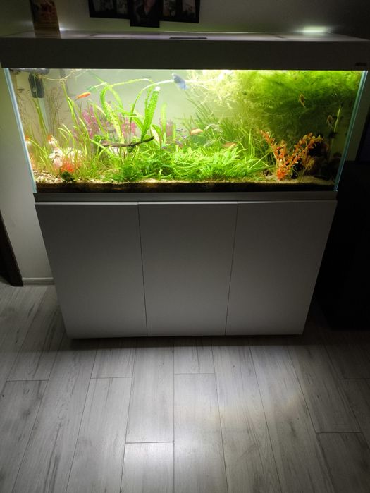 Akwarium 240l aquael