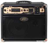 Peavey Ecoustic E110 Acoustic Amp