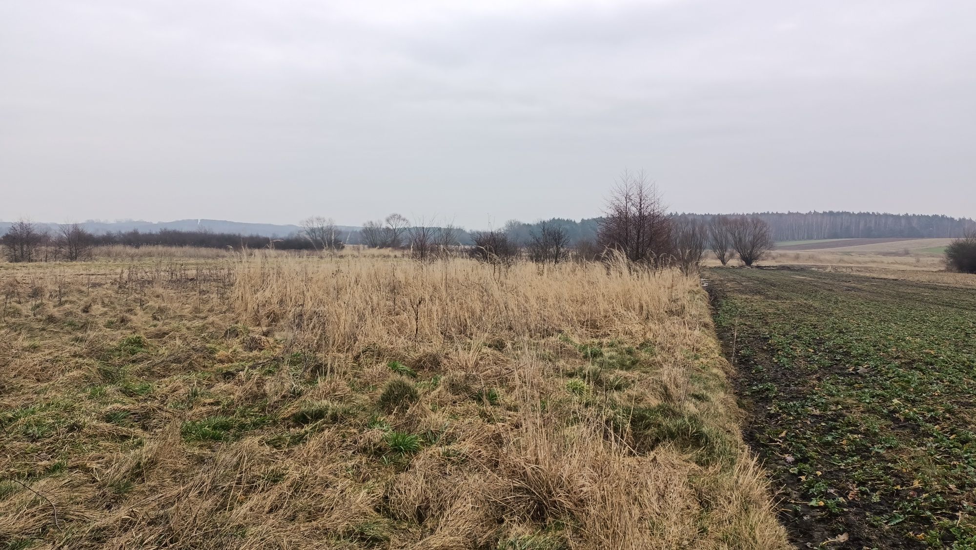 Sprzedam działkę z wydanymi warunkami zabudowy  w Hołudzy