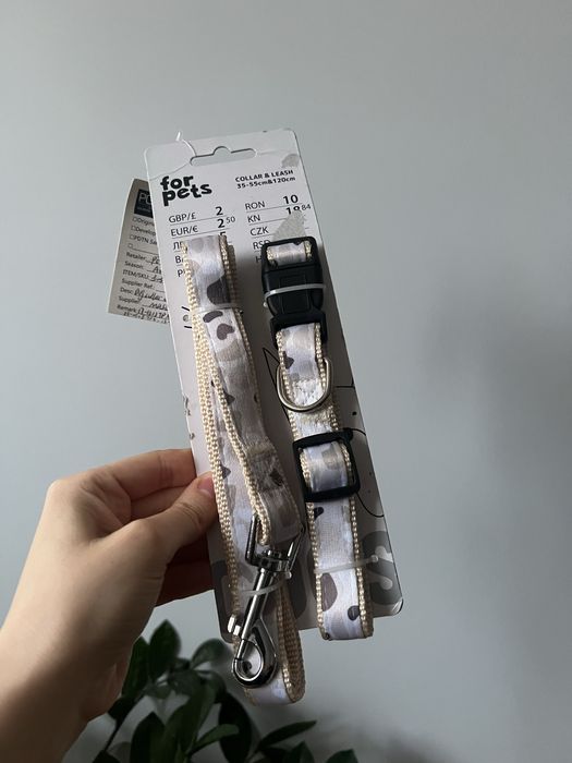 Zestaw smycz i obroza