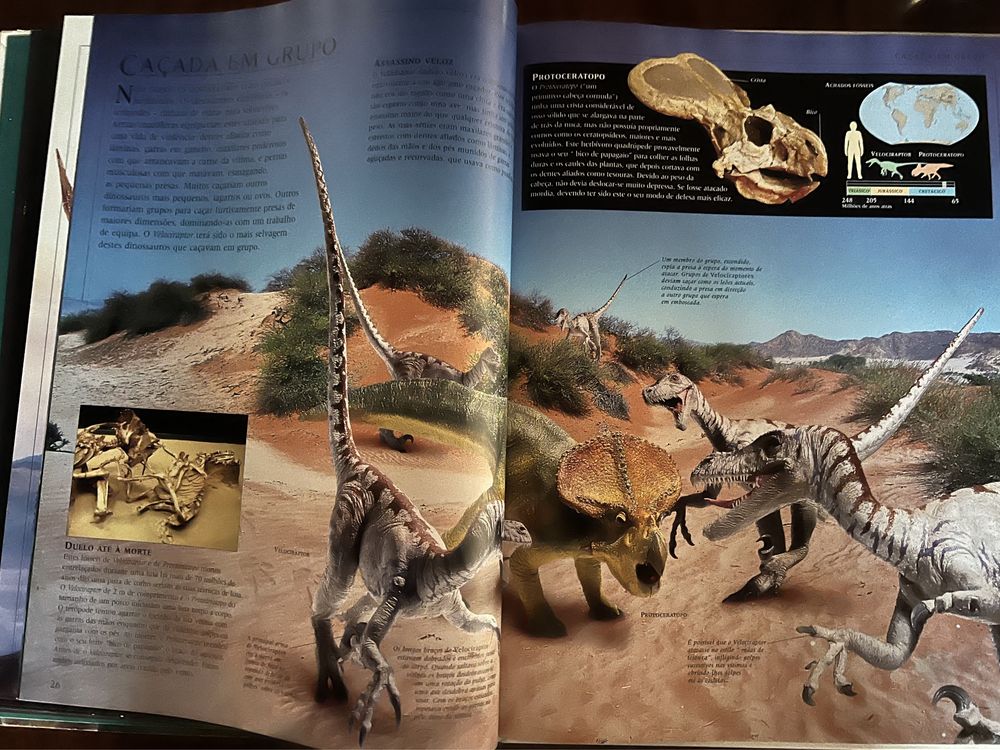 Livro Guia dos Dinossauros