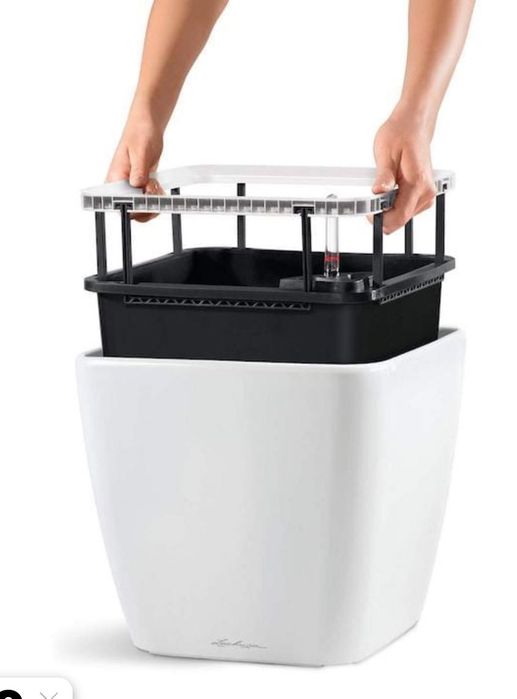 Duża donica z rośliną – zakupiona w Niemczech