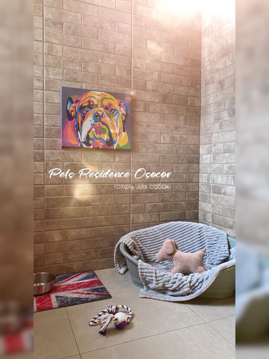 Перетримка собак в комфортних умовах. Готель. Гостиница. Передержка