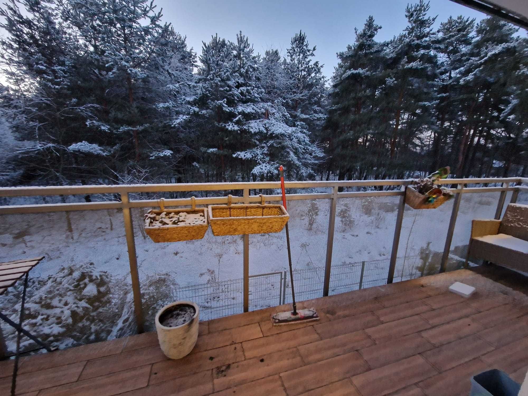 3pok apartament z widokiem na las na Ligocie od ZARAZ