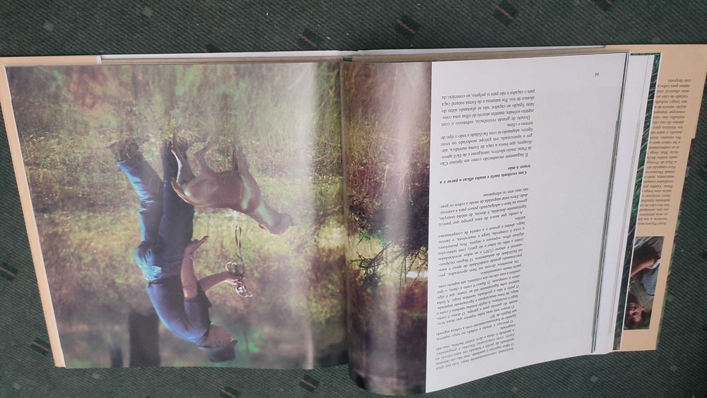 Cão de Parar Uma Paixão - Jorge Piçarra