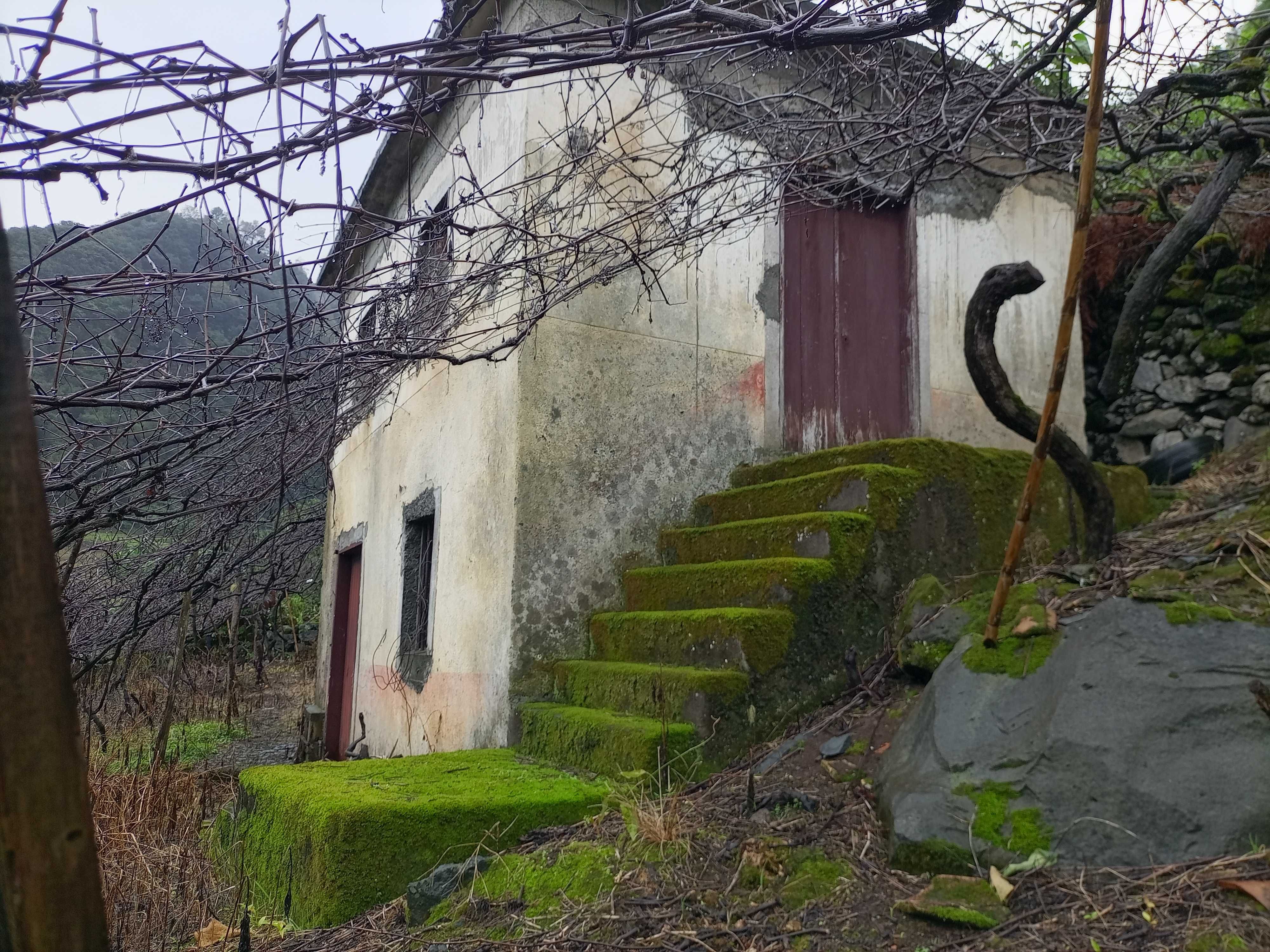 Prédio com construção rural e lagar em São Jorge - Santana