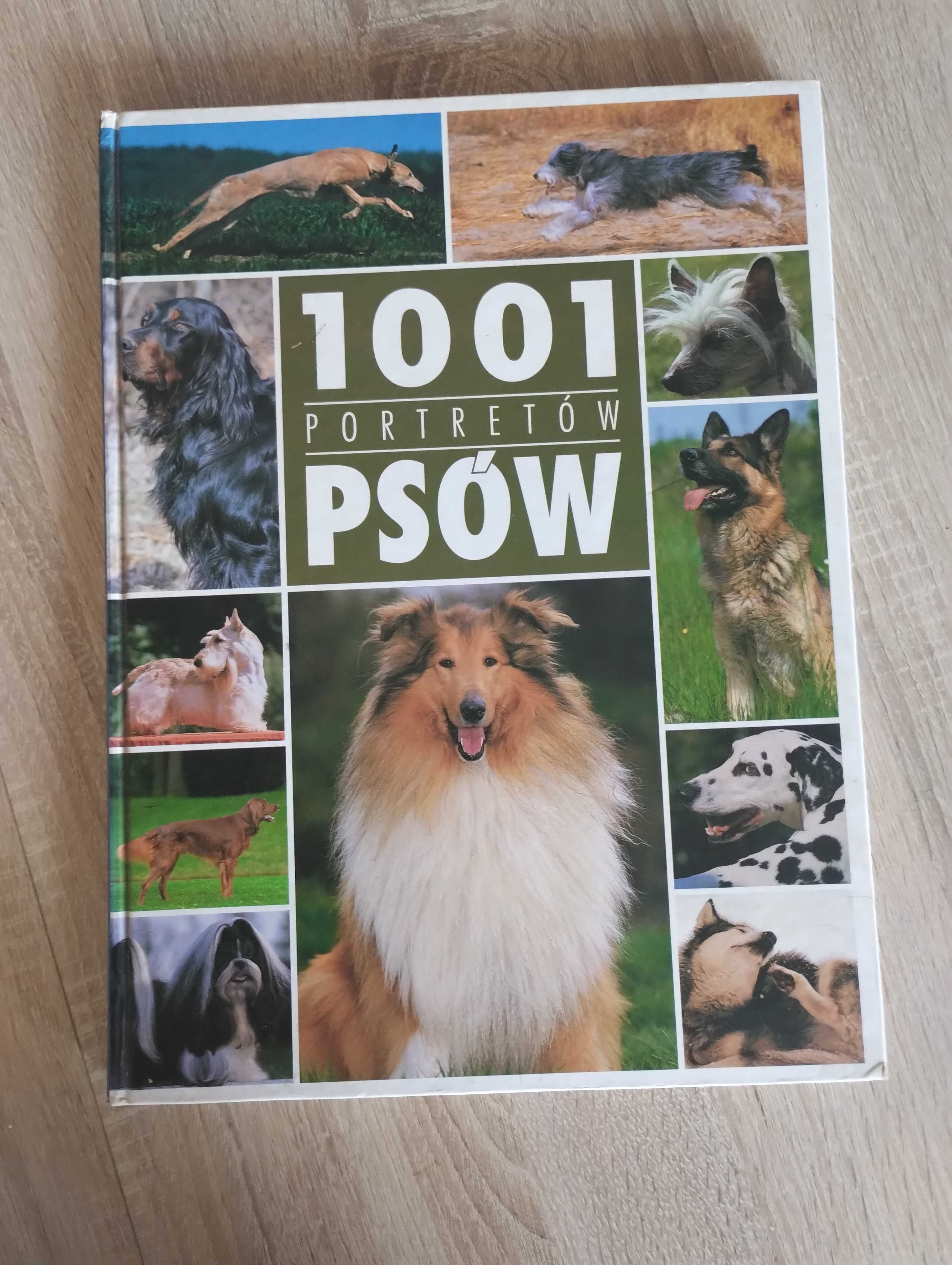 1001 portretów psów