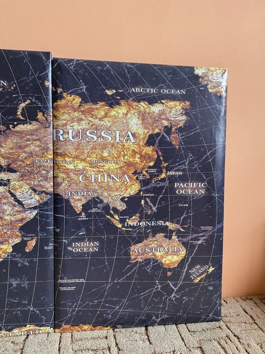 Картина мира. Модульная картина на полотне ( 46х71 )