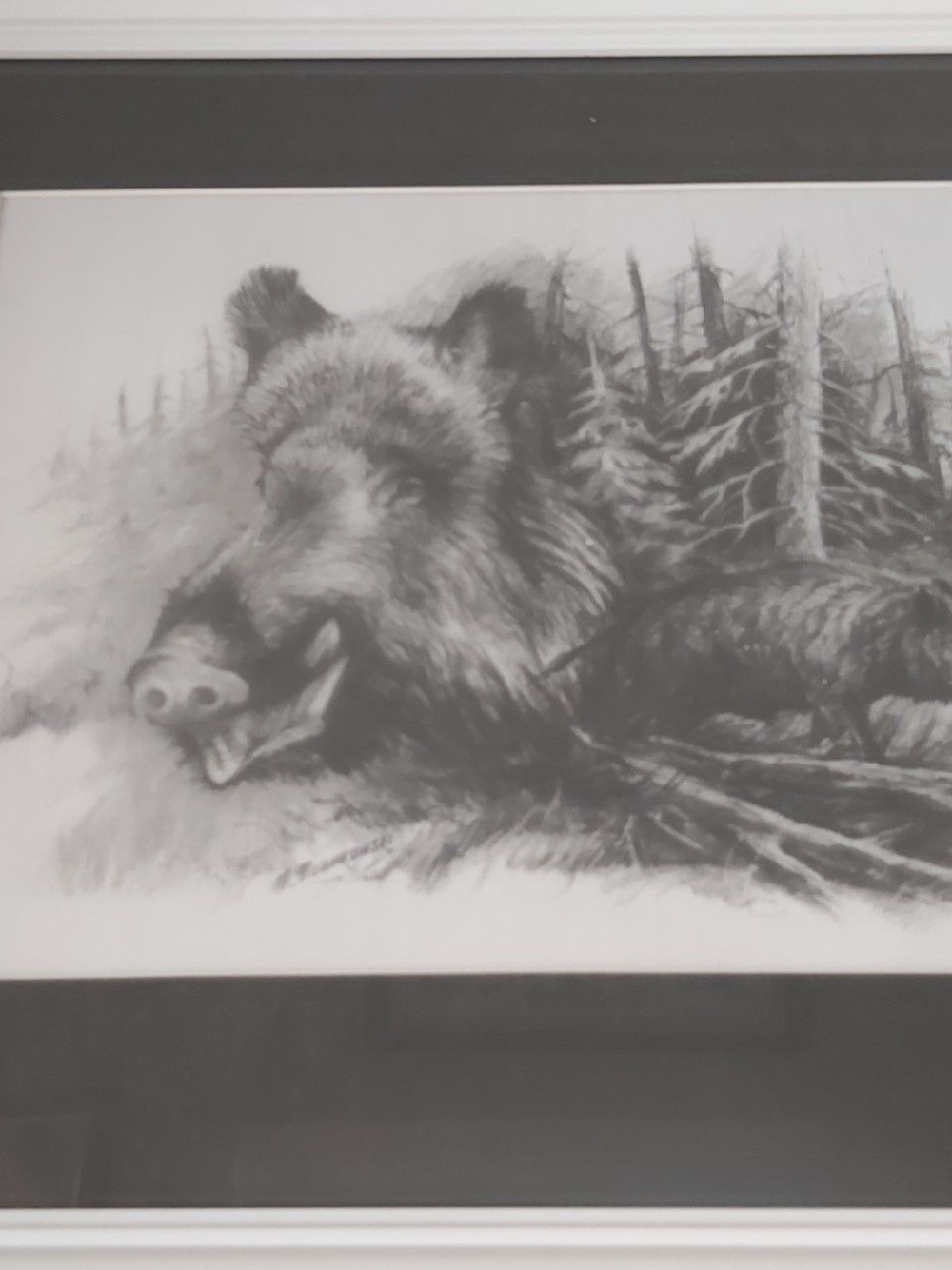 Piękna grafika myśliwska łowiecka polowanie na dziki. Odyniec. A3