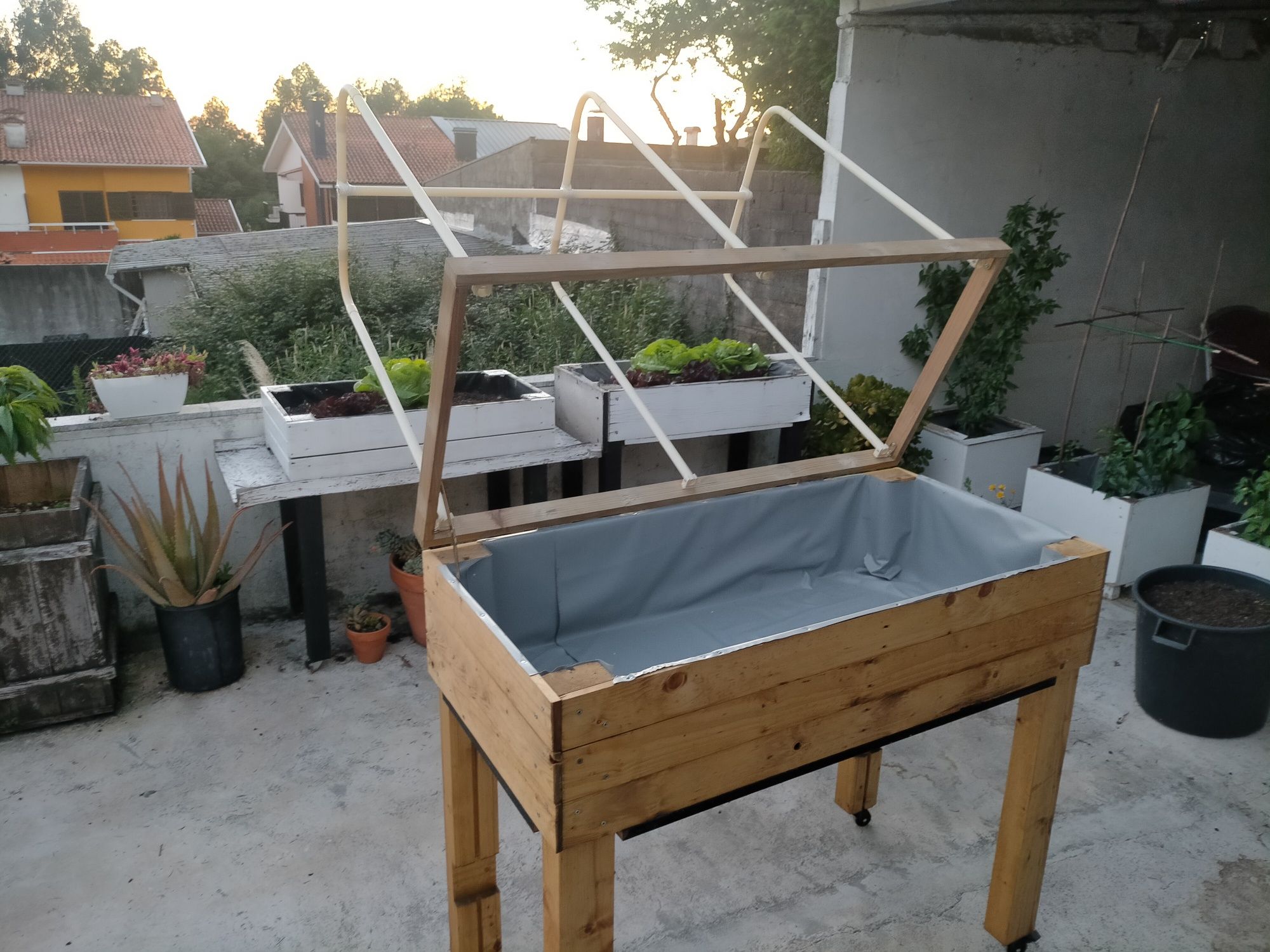 Caixas de madeira para cultivo