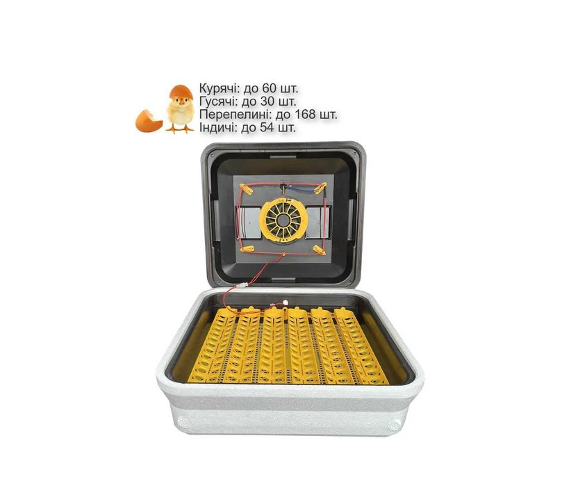 Інкубатор автоматичний Теплуша Euro 88 ТАВ 12 (220/12в) комб.корпус