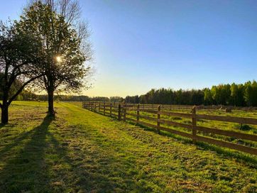 Działka rekreacyjno-budowlana, 1000 m2, Puszcza Stromiecka.