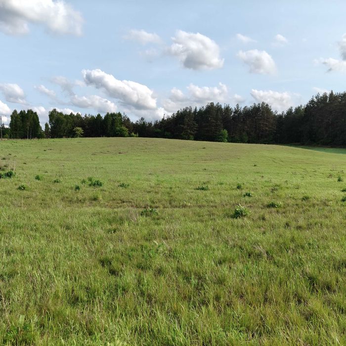 Działka 2/6 980 m² – Miastko ul Jeziorna – media, WZ, blisko jeziora