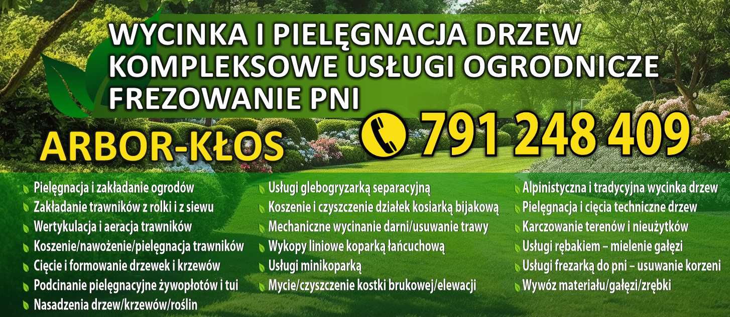 Frezowanie Karp Usuwanie Korzeni Pni Drzew