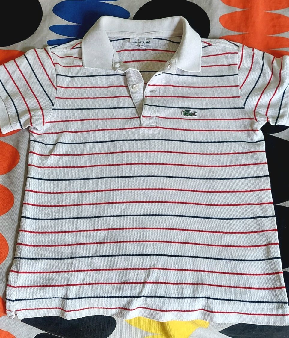 Polo Lacoste 8 anos