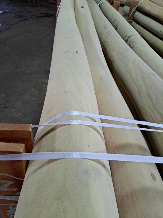 Kołki akacja, robinia okorowana, szlifowana - pale, kołki, słupy