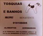 Banhos e Tosquias