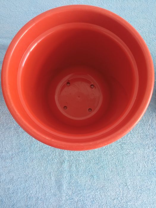 Vasos para plantas de médio porte