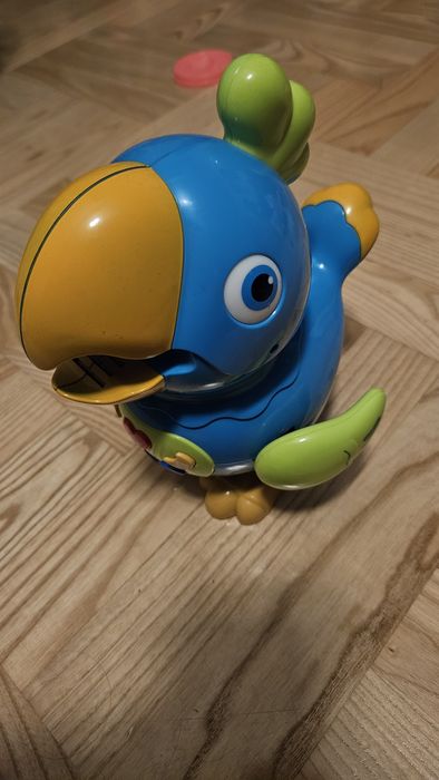 Edukacyjna gadająca chodzaca papuga dla dziecka