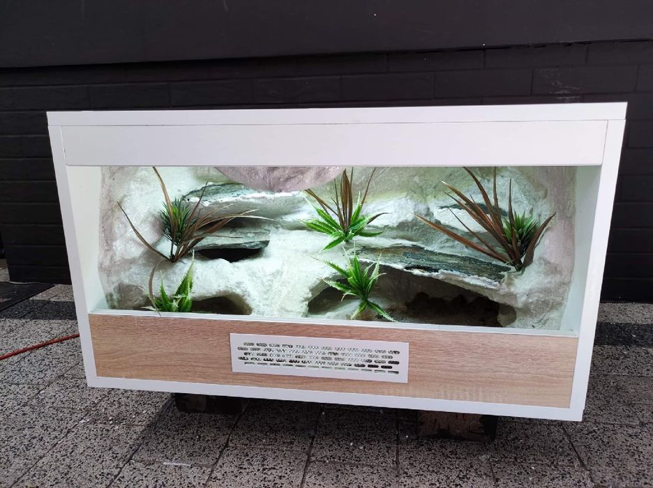 Terrarium gekon lamparci jaszczurka PETMARKET