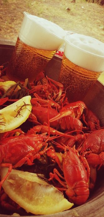 Живі  раки Лубни