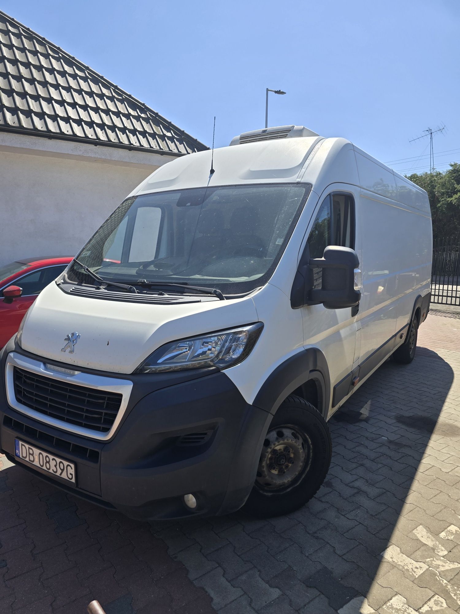 Peugeot boxer ducato jumper chlodnia