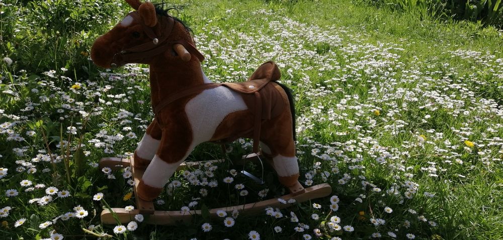 Konik na biegunach, miękki pluszowy, wydaje odgłosy paszczą :)