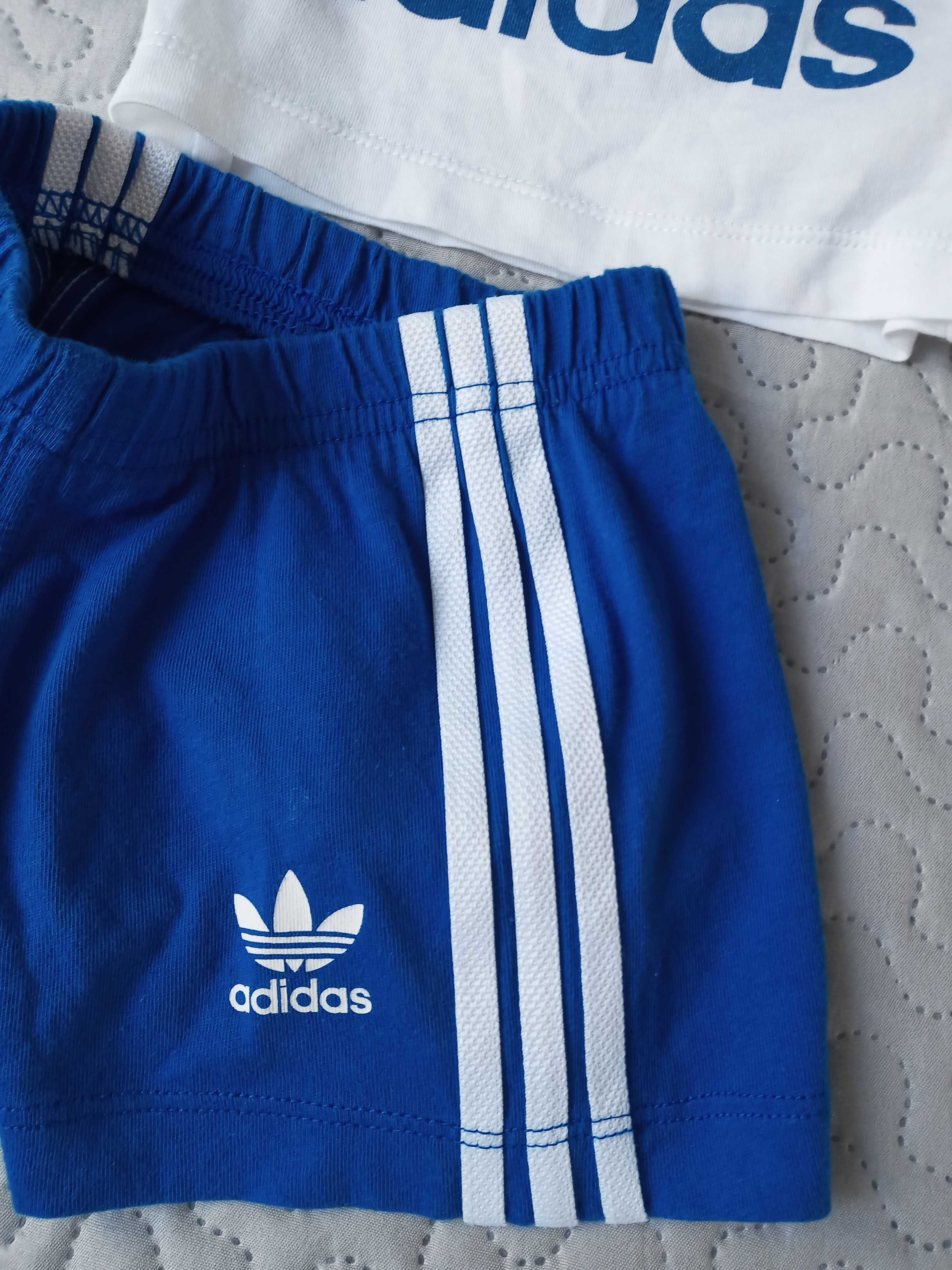 Zestaw komplet Adidas r.68 t-shirt i szorty sportowe