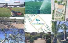 Limpeza de terros/Manutenção de jardins