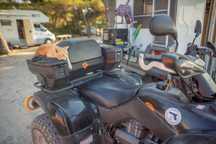 ODES Inny Quad Odes ATV400-B + przyczepa do przewozu