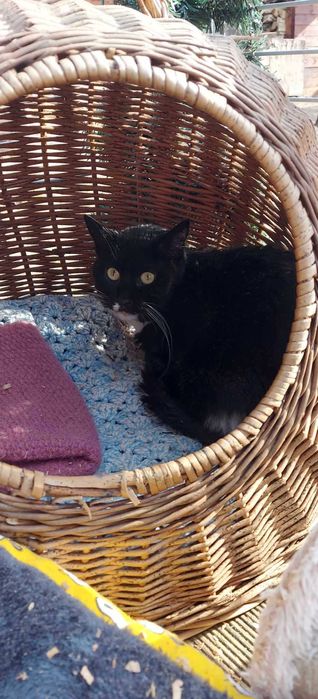 ZUSKA - Schronisko dla Zwierząt w Ostródzie