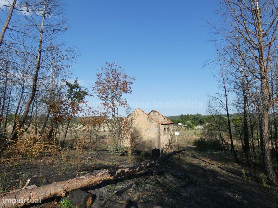Quintinha  Venda em Paços da Serra,Gouveia