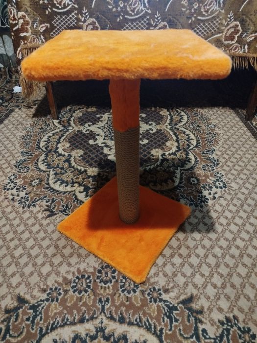 Кошачья когти точка