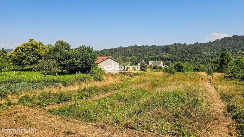Terreno com viabilidade de construção em Vouzela
