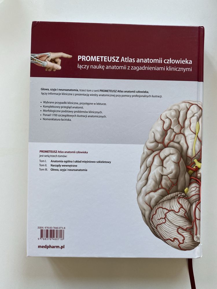 Prometeusz Atls anatomii. Głowa, szyja i neuroanatomia
