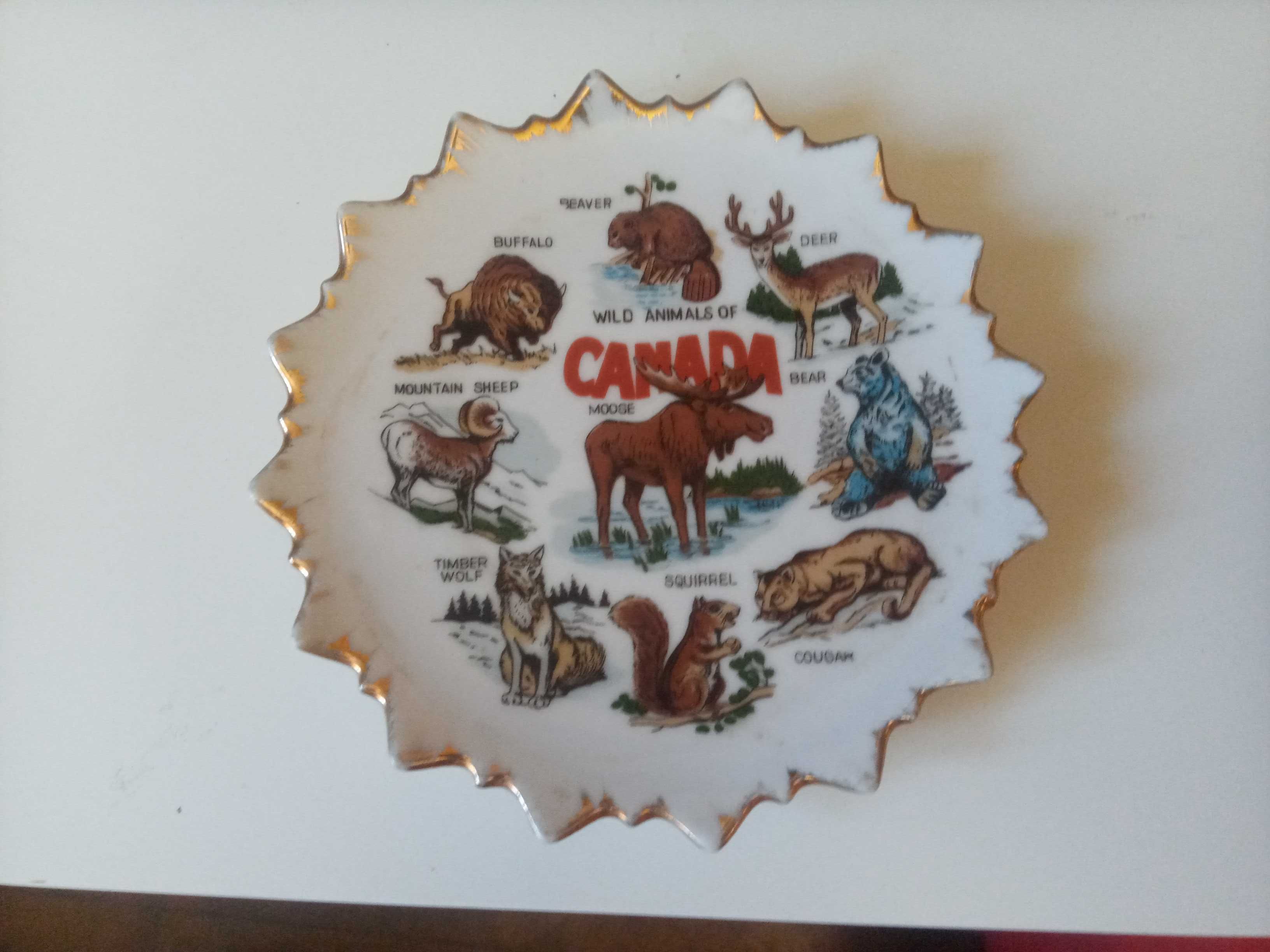 Talerz Canada - ze zwierzetami