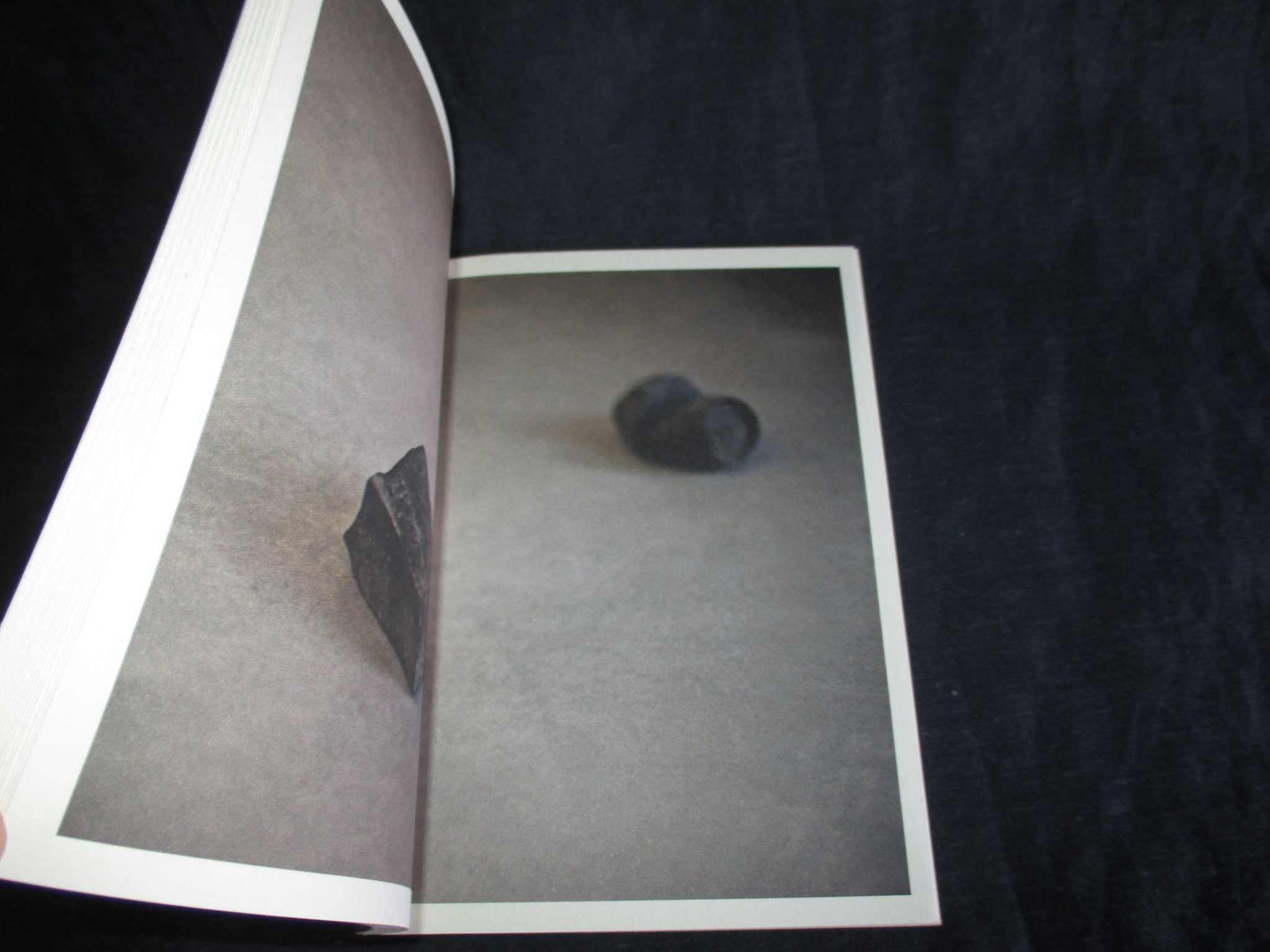 Livro Scripta Francisco Tropa