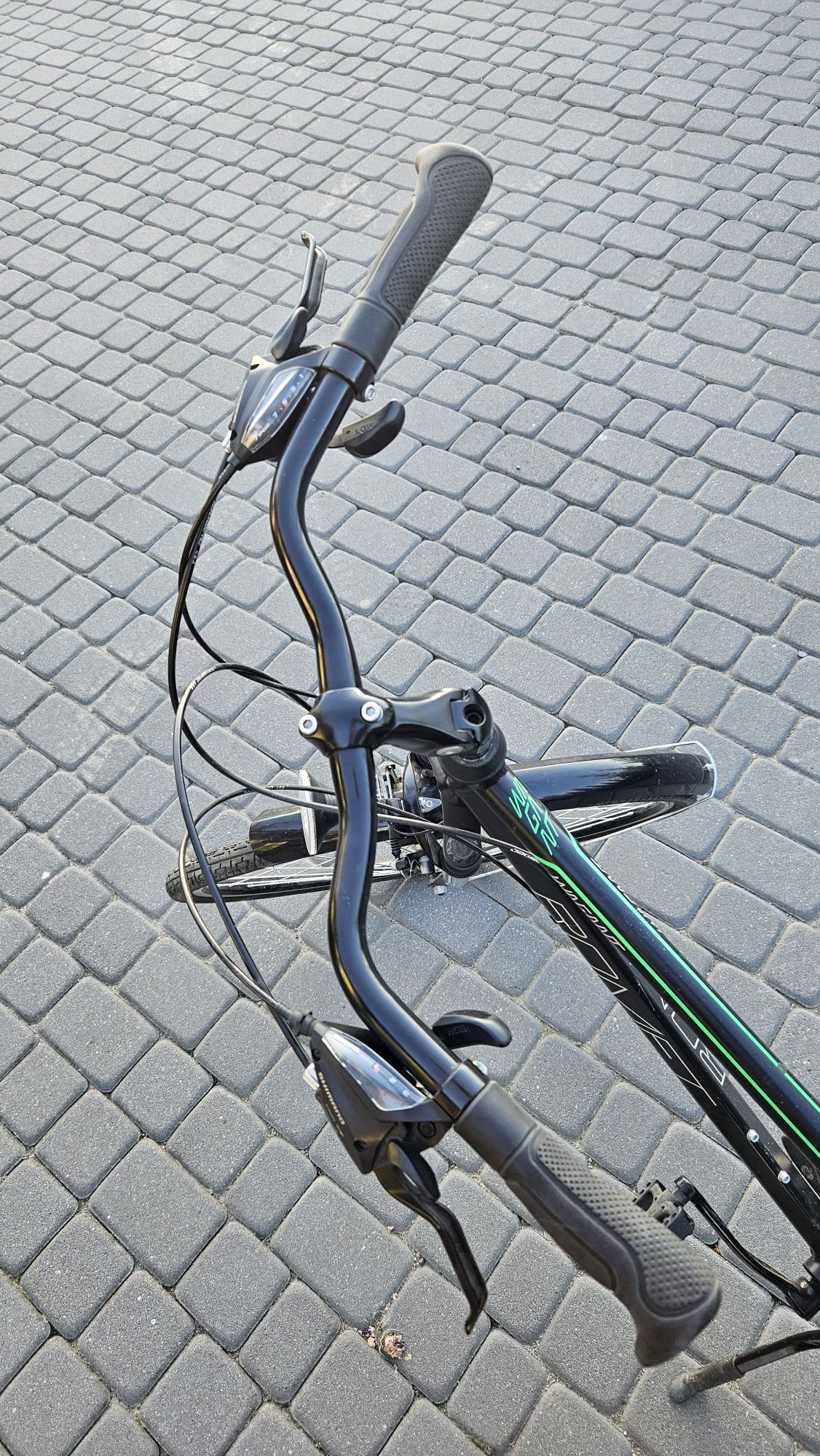 Rower  Treningowy Romet Wagant